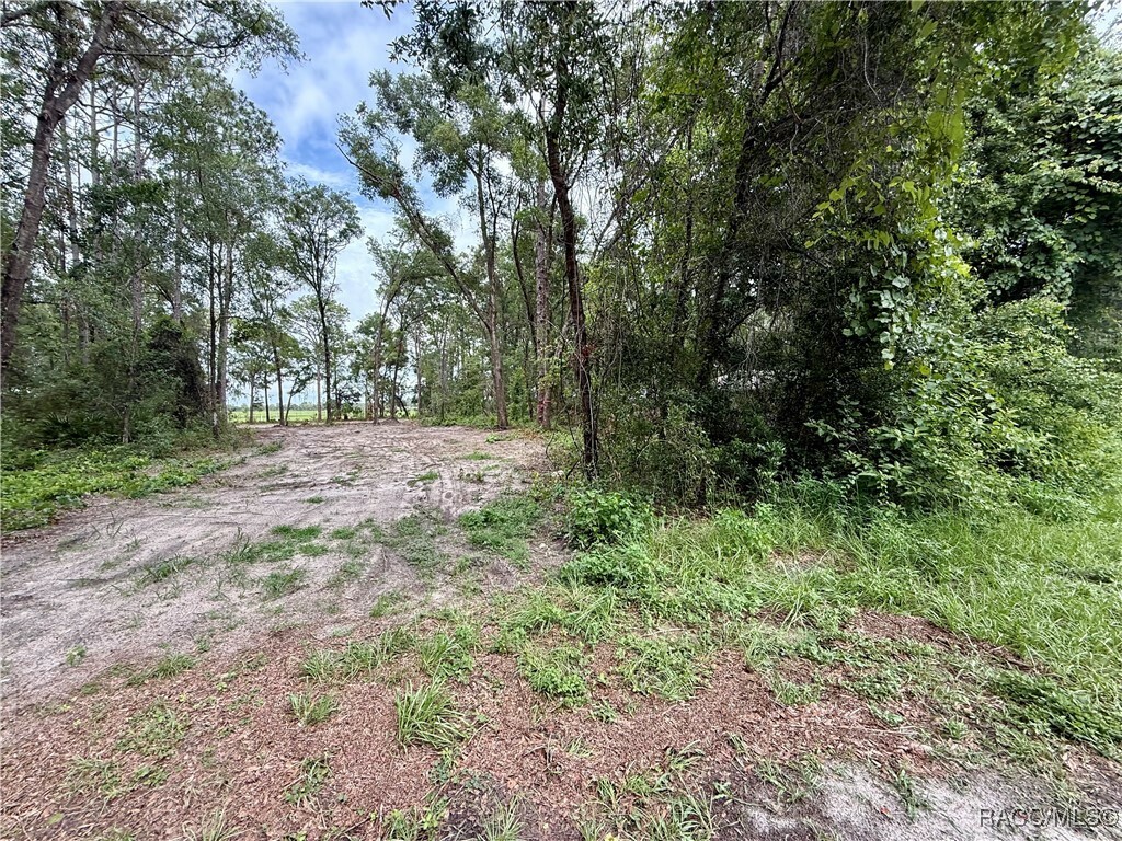 Property Photo: 3921 S Placid Avenue FL 34452
