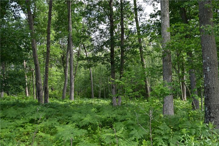 8887 Fosberg Road  Siren WI 54872 photo