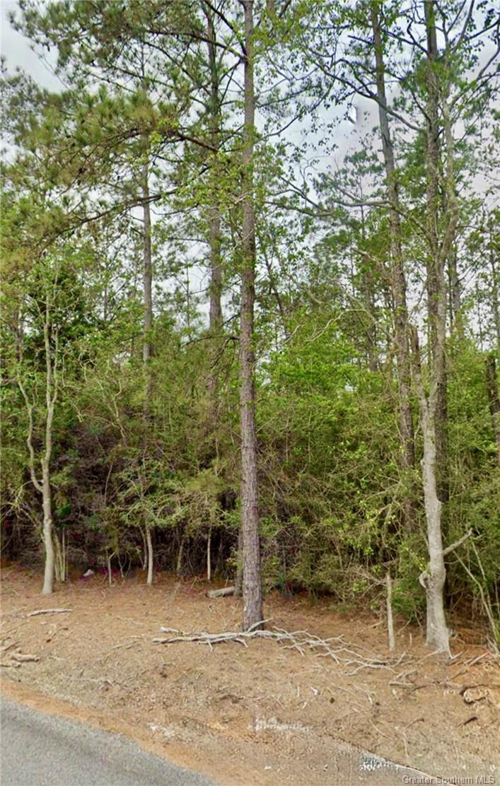 0 Sandy Lane  Dequincy LA 70633 photo