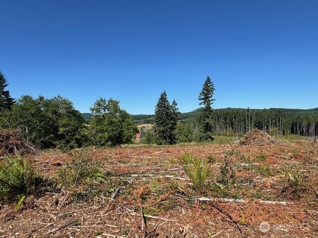 Property Photo: 0 Nelson Road WA 98596
