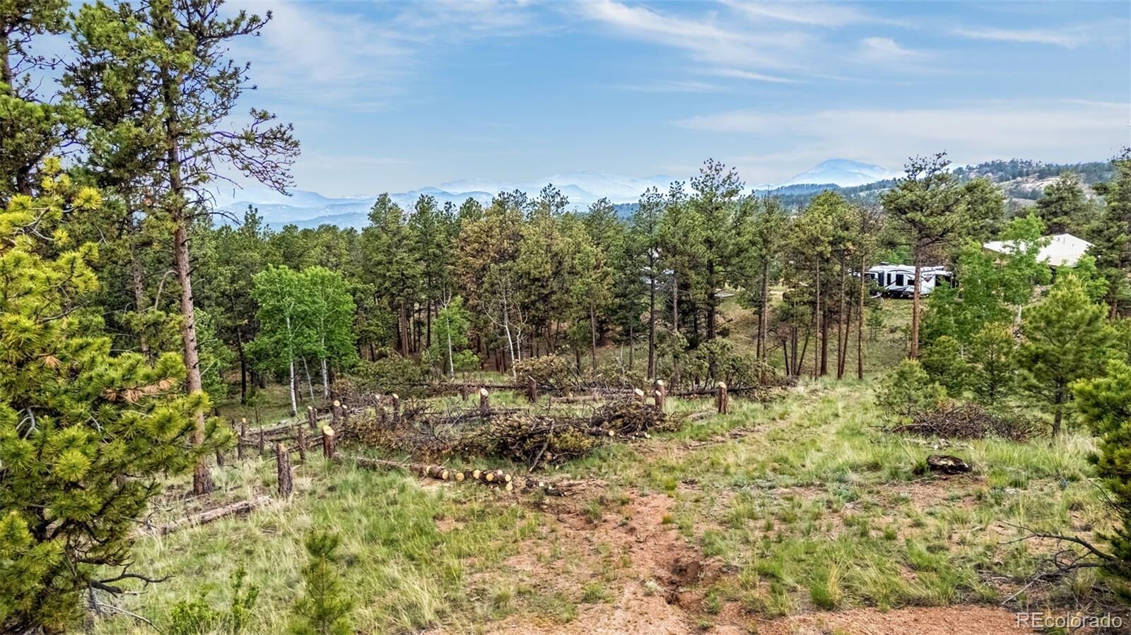 Property Photo:  77 Monarch Drive  CO 80816 