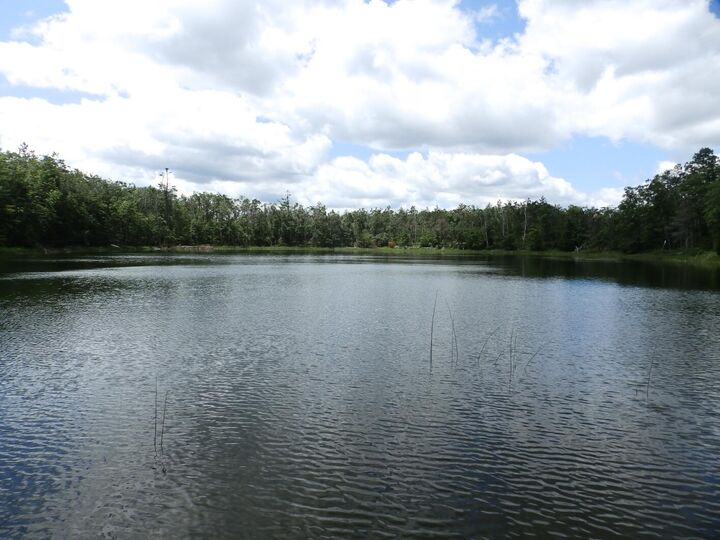 Property Photo: 1830 Dollar Lk Road MI 49756
