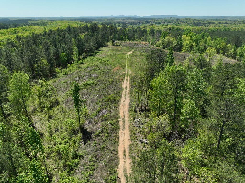 Property Photo:  0 Ledford Road  GA 30721 