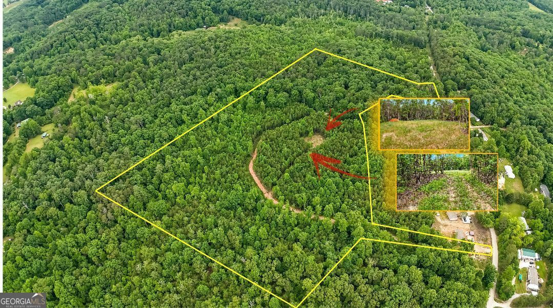 Property Photo: 0 Buckhorn Road GA 30523