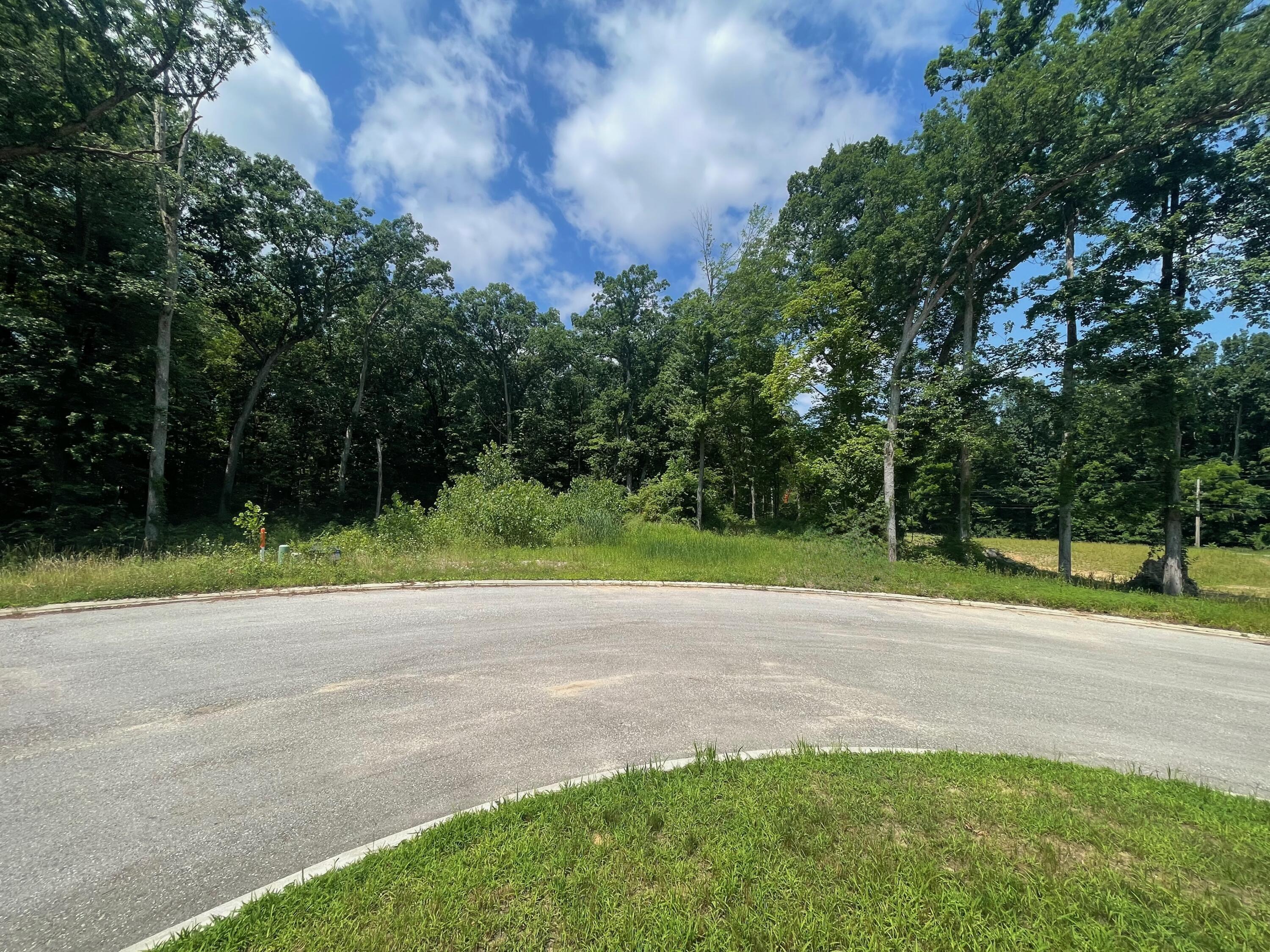Property Photo: Lot 16 Grafalcon Court MI 49120