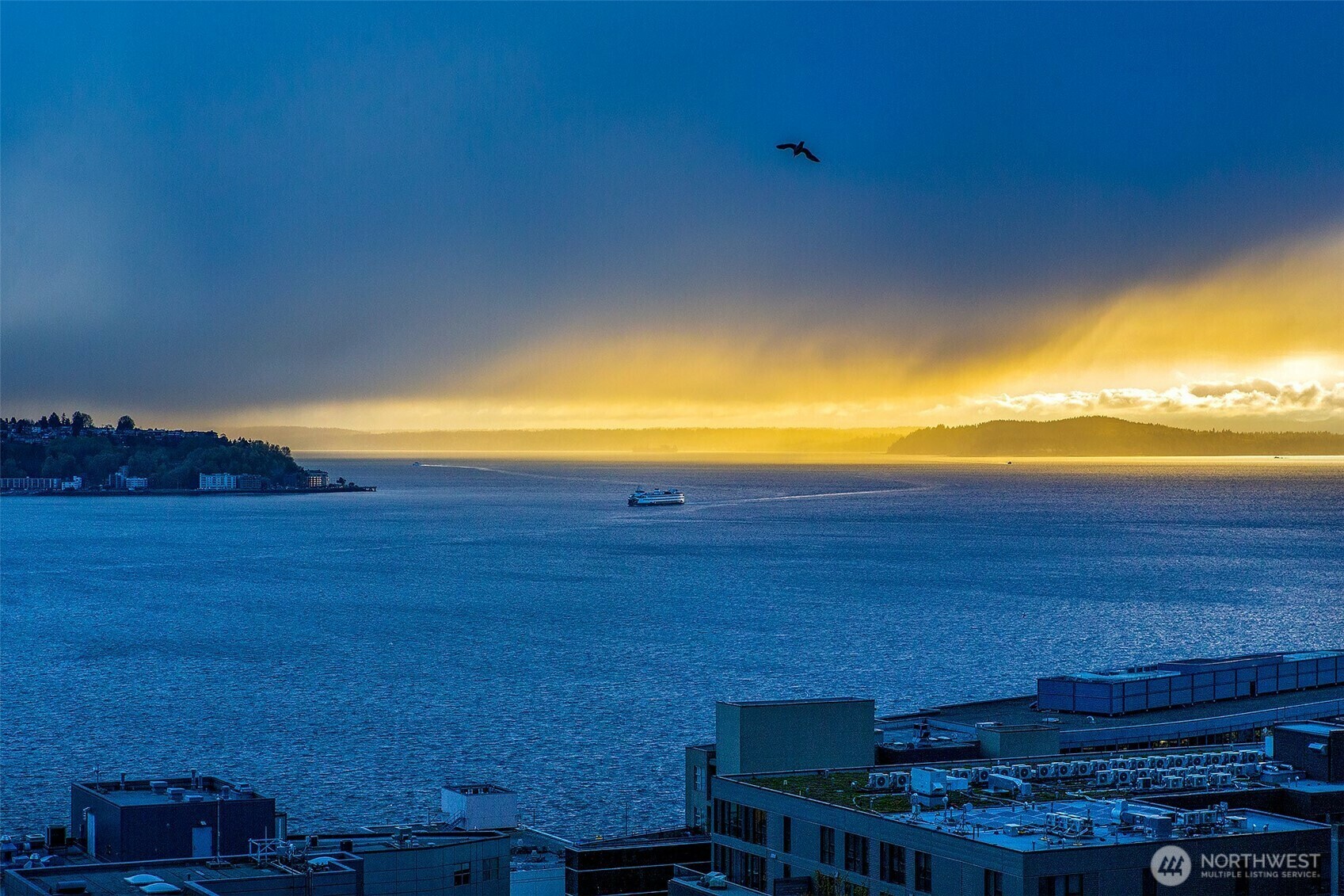 Property Photo:  2033  2nd Avenue 803  WA 98121 