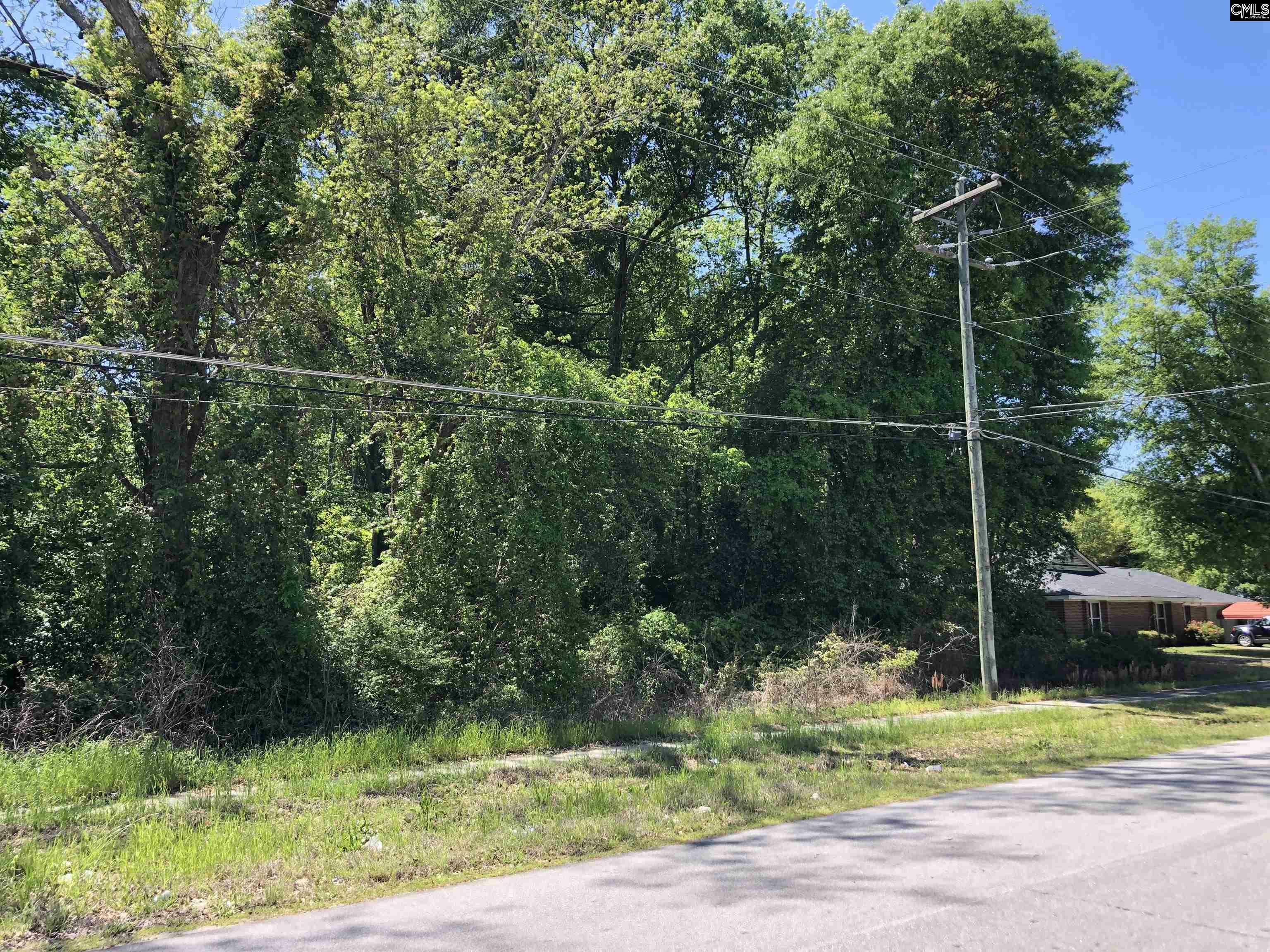 Property Photo: 0 Hampton SC 29045