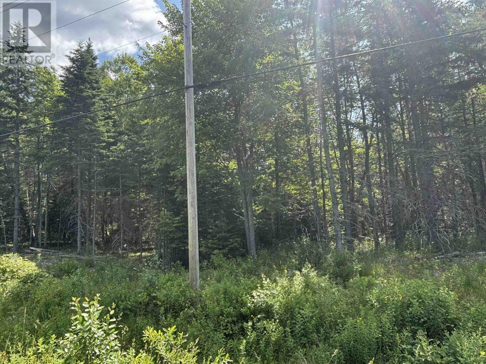 Property Photo:  Lot Beechmont Road  NS B2A 4K3 