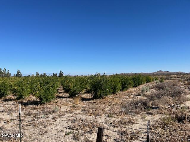 Cor Palmdale Pav Longvi  Sun Village CA 93543 photo