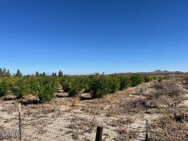 Property Photo: Cor Palmdale Pav Longvi CA 93543