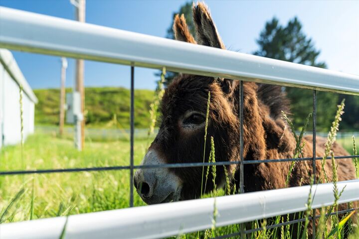 Property Photo:  3396 Trumble Creek Road  MT 59912 