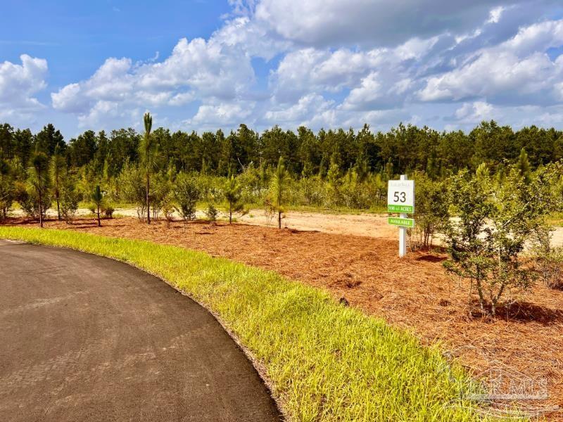 Property Photo:  Lot 53 South Timber Ln  FL 32571 