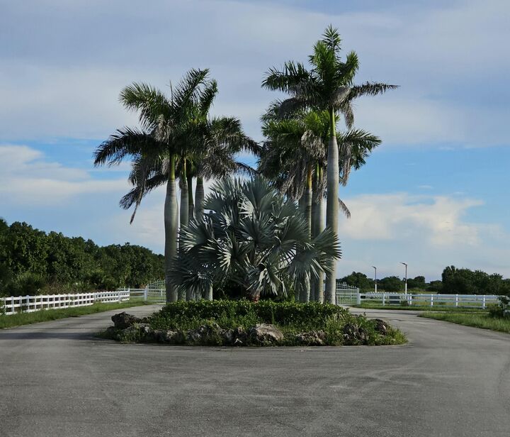 Property Photo:  3225 Frog Holw  FL 33470 