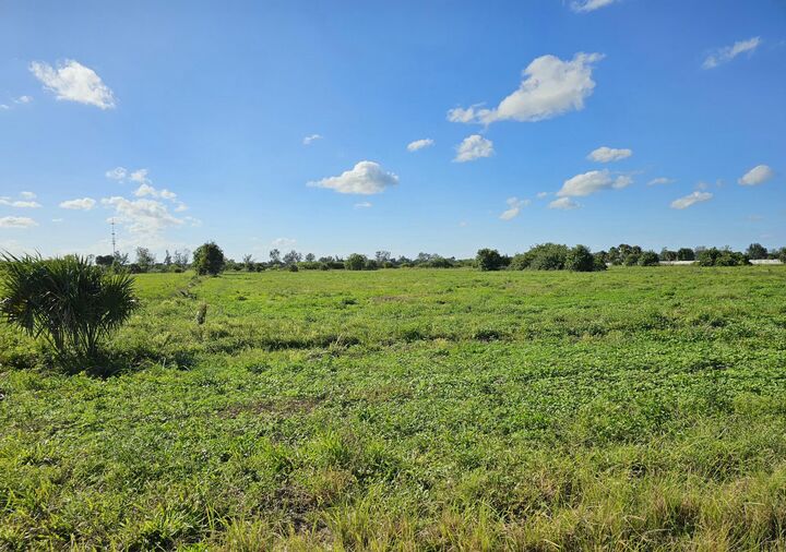 Property Photo:  3225 Frog Holw  FL 33470 