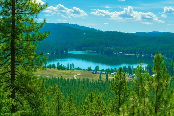 4xxx Ali Vista Way  Loon Lake WA 99148 photo