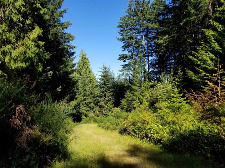 Lot A Lord Road — photo 1