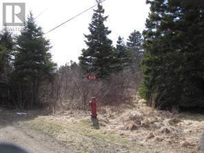Property Photo:  4 Williams Lane  NL A2N 3V1 