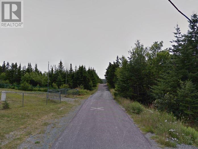 0 Payne'S Road  Aquaforte NL A0A 0B3 photo