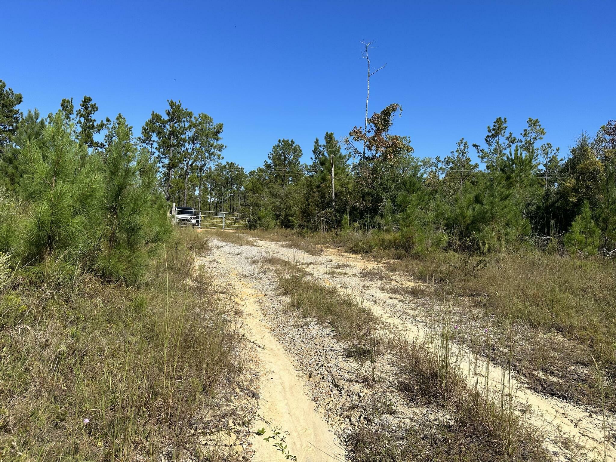 Property Photo: Parcel D Millside Road FL 32567