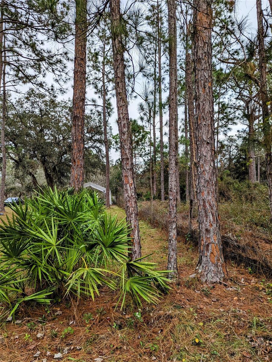 Property Photo: 0 Sweet Hill Rd FL 33868
