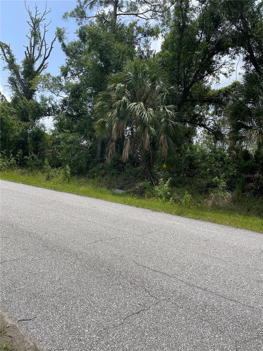 Property Photo: Bellafonte Avenue FL 34286