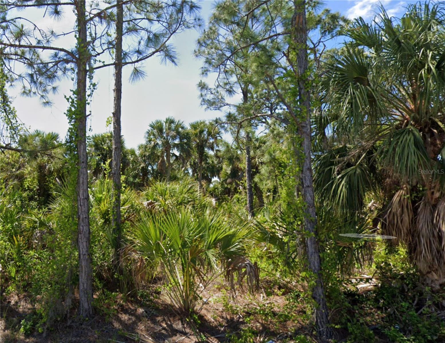 Property Photo: 11965 Coleman Avenue FL 33981