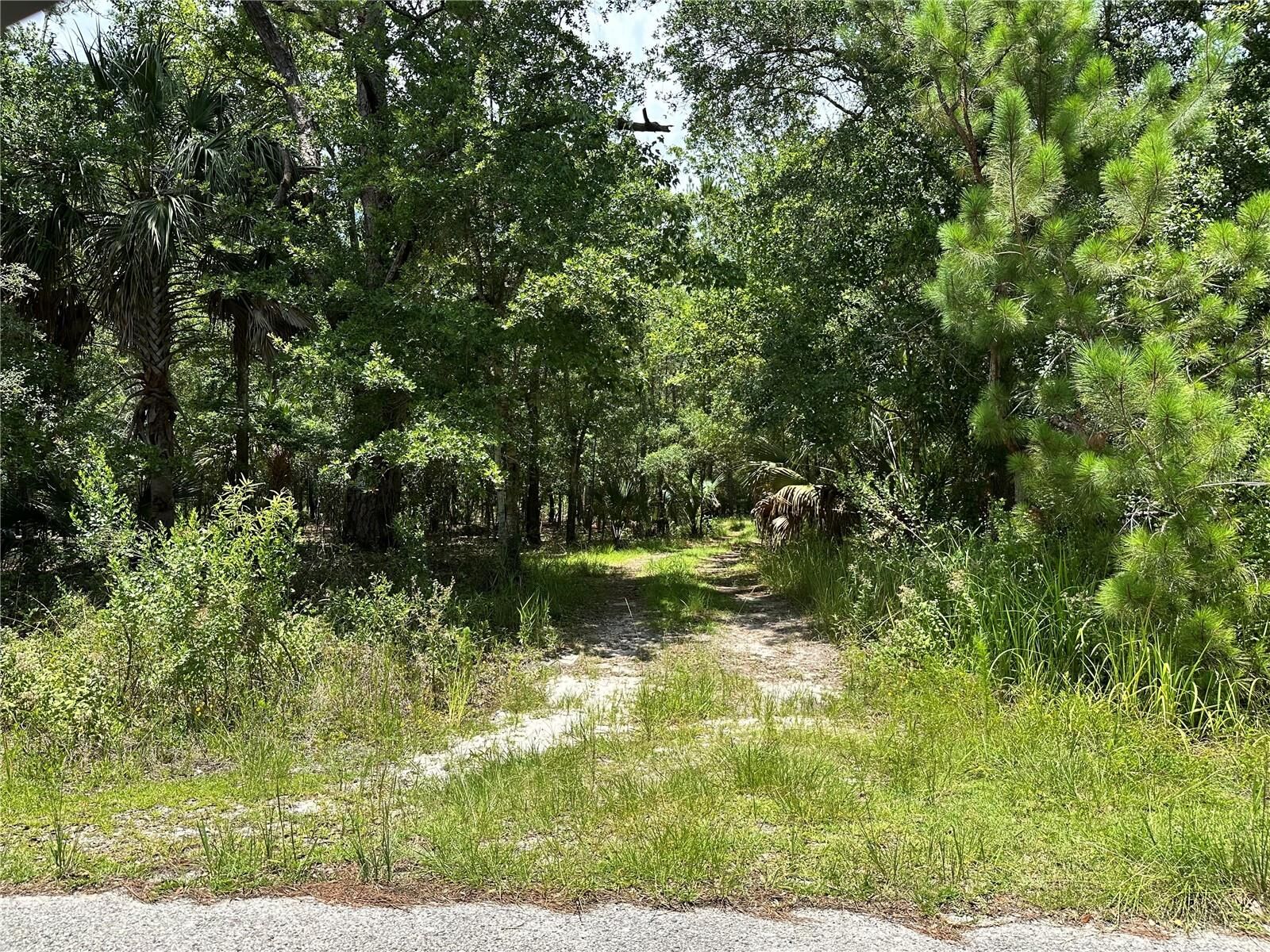 Property Photo: 724 Mallard Drive FL 32771