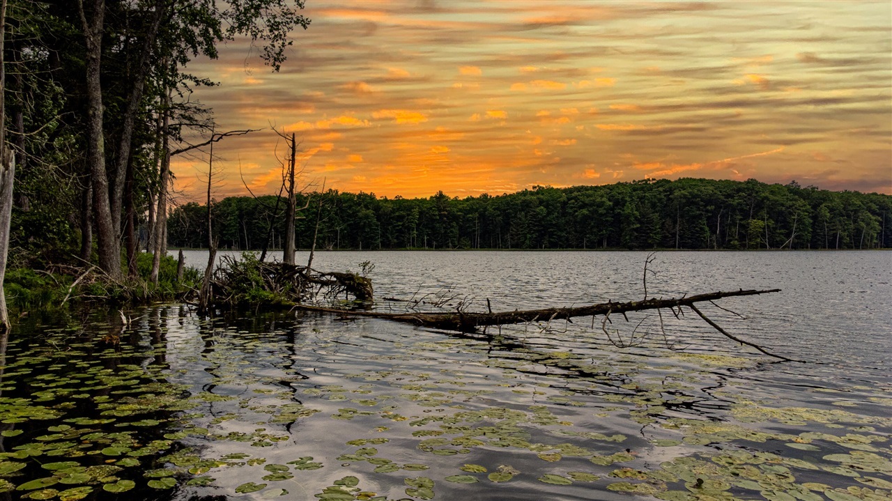 Property Photo: 5696 E Winter Road MI 49459-9561