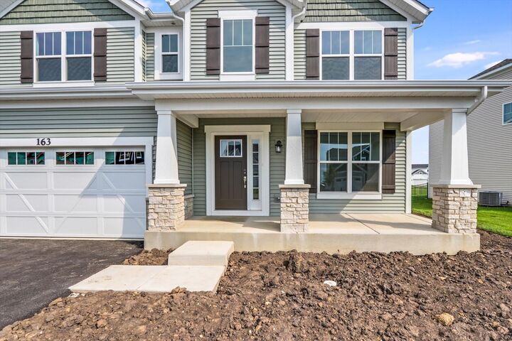 Property Photo:  163 Piper Glen Avenue  IL 60543 