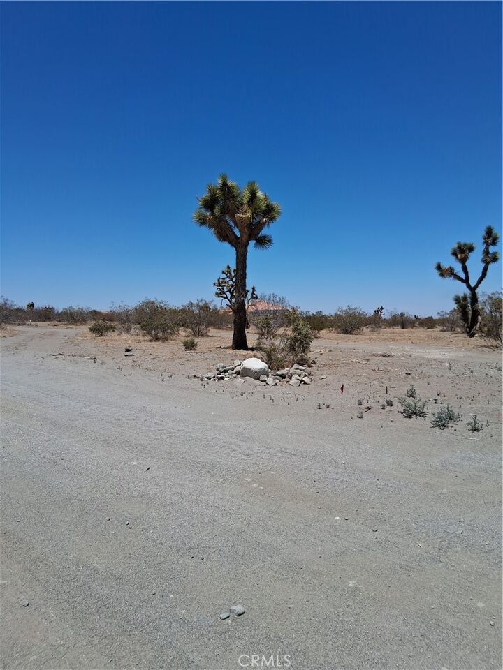 Property Photo: 0 Danbury Road CA 92371