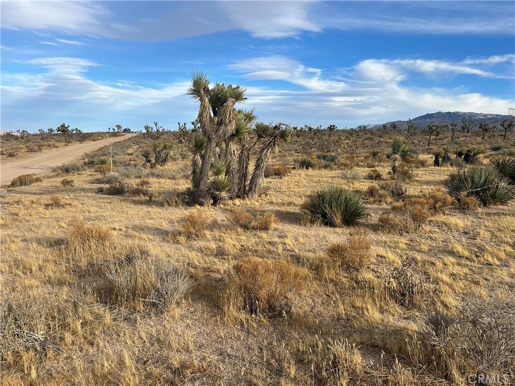 Property Photo: 23926 Poppy Road CA 92308