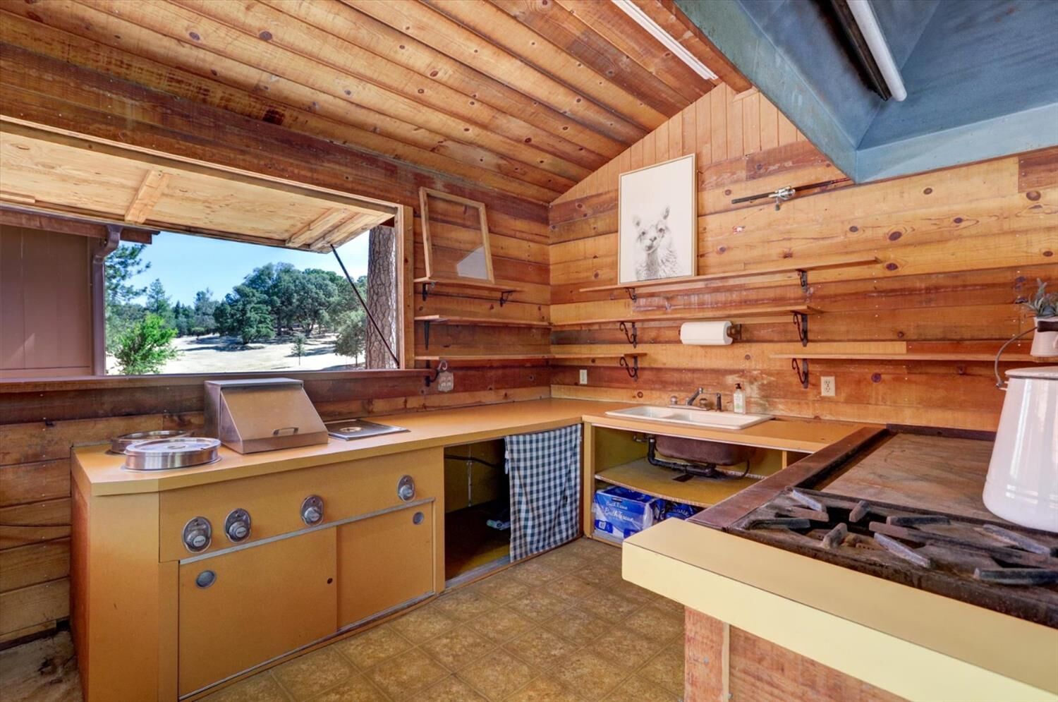 Property Photo: 11855 Conejo Court CA 95949