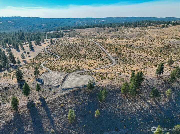 Property Photo:  0  Evergreen Camp Rd. Parcel C  WA 98816 