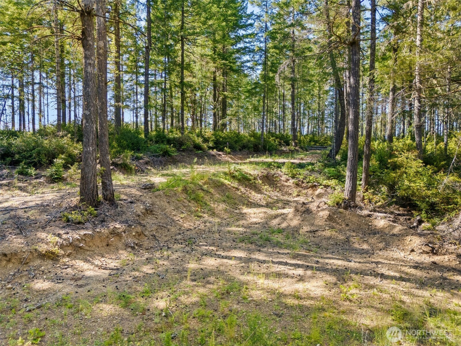 Property Photo:  0 Tr 3 E Mason Lake Road  WA 98546 