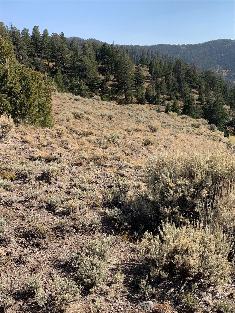 Property Photo:  5079&5087 Delancey Road  CO 81133 