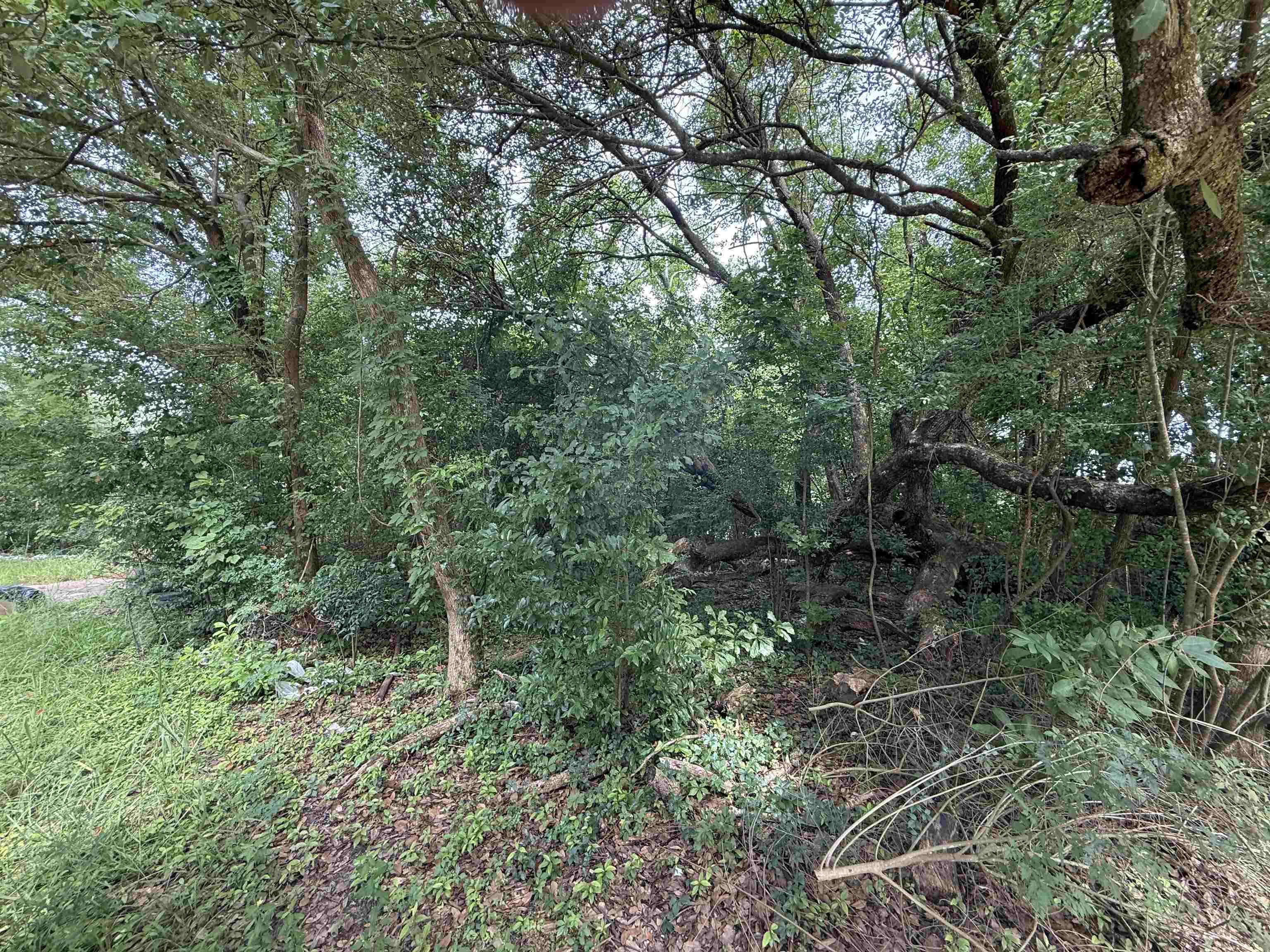 Property Photo:  7 Circle R  TX 77630 