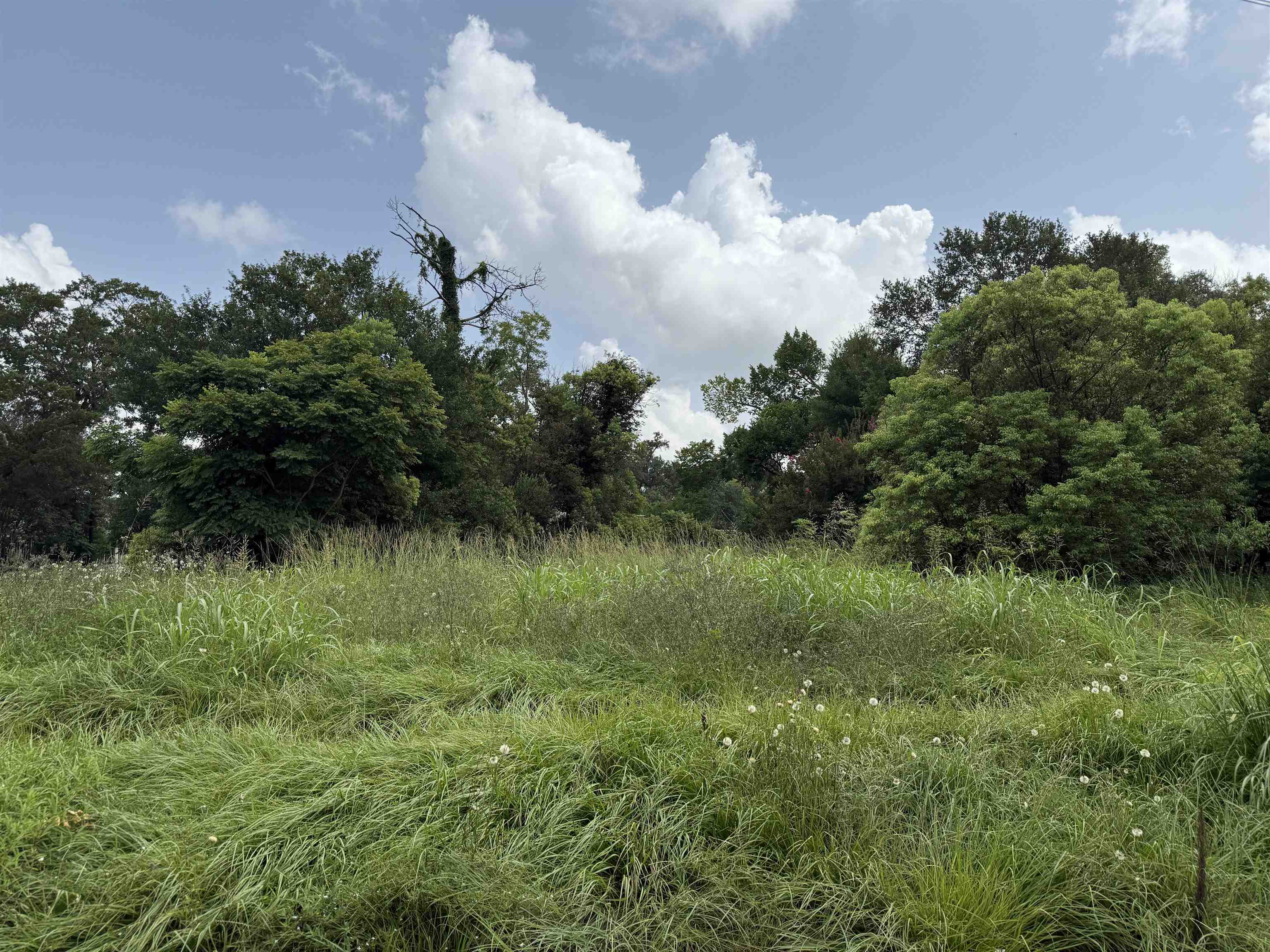 Property Photo:  612 W Cypress Ave  TX 77630 