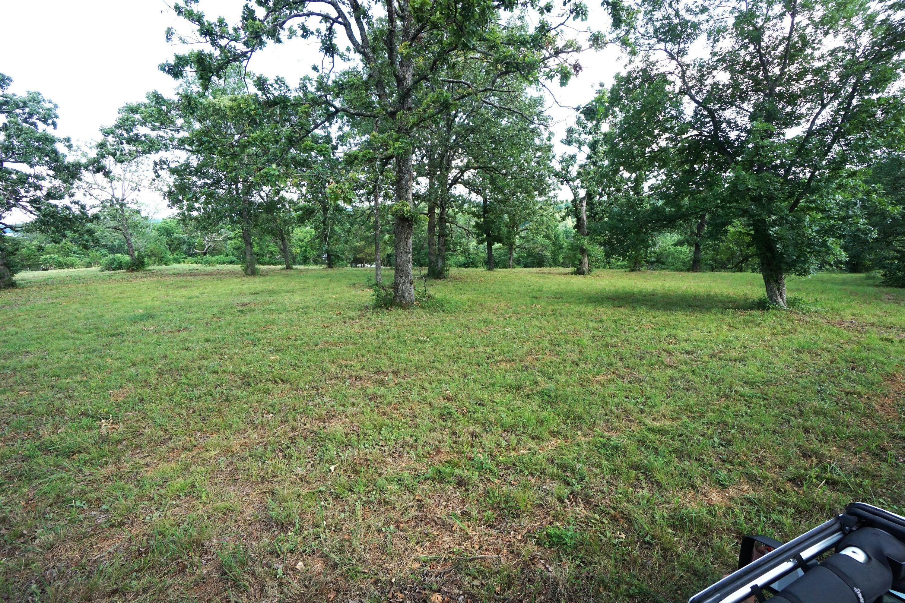Property Photo: