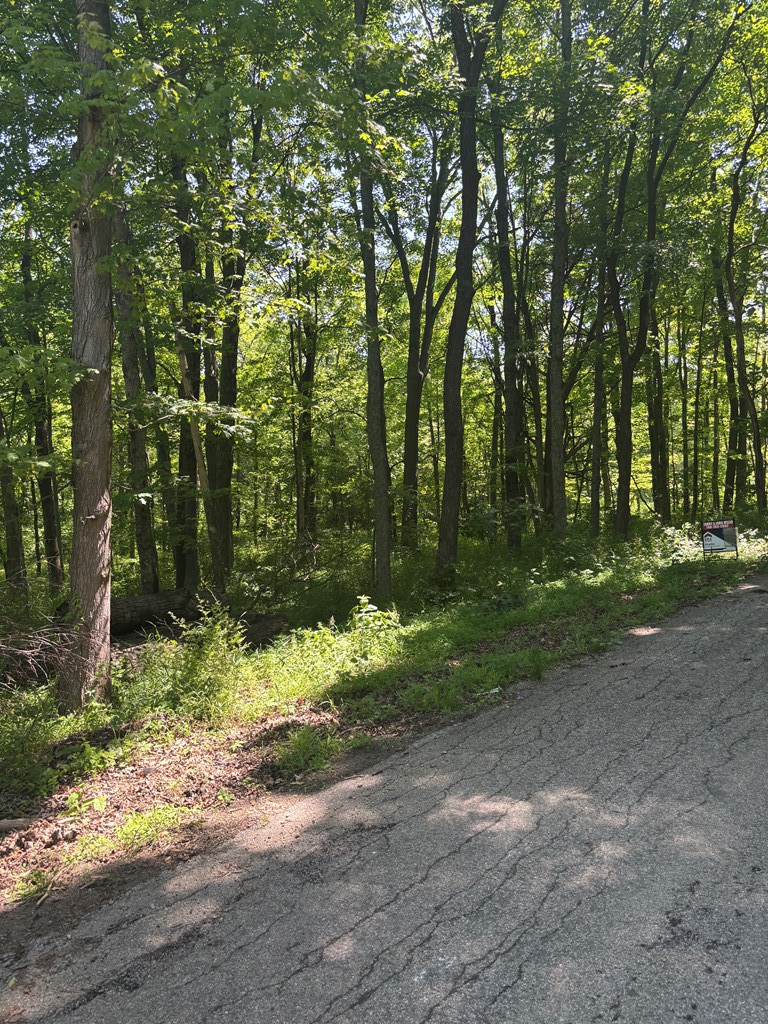 Property Photo: 0 Nace Corner Rd OH 45646
