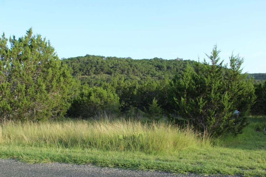 Property Photo: 218 Spring Hollow Drive Drive TX 78605