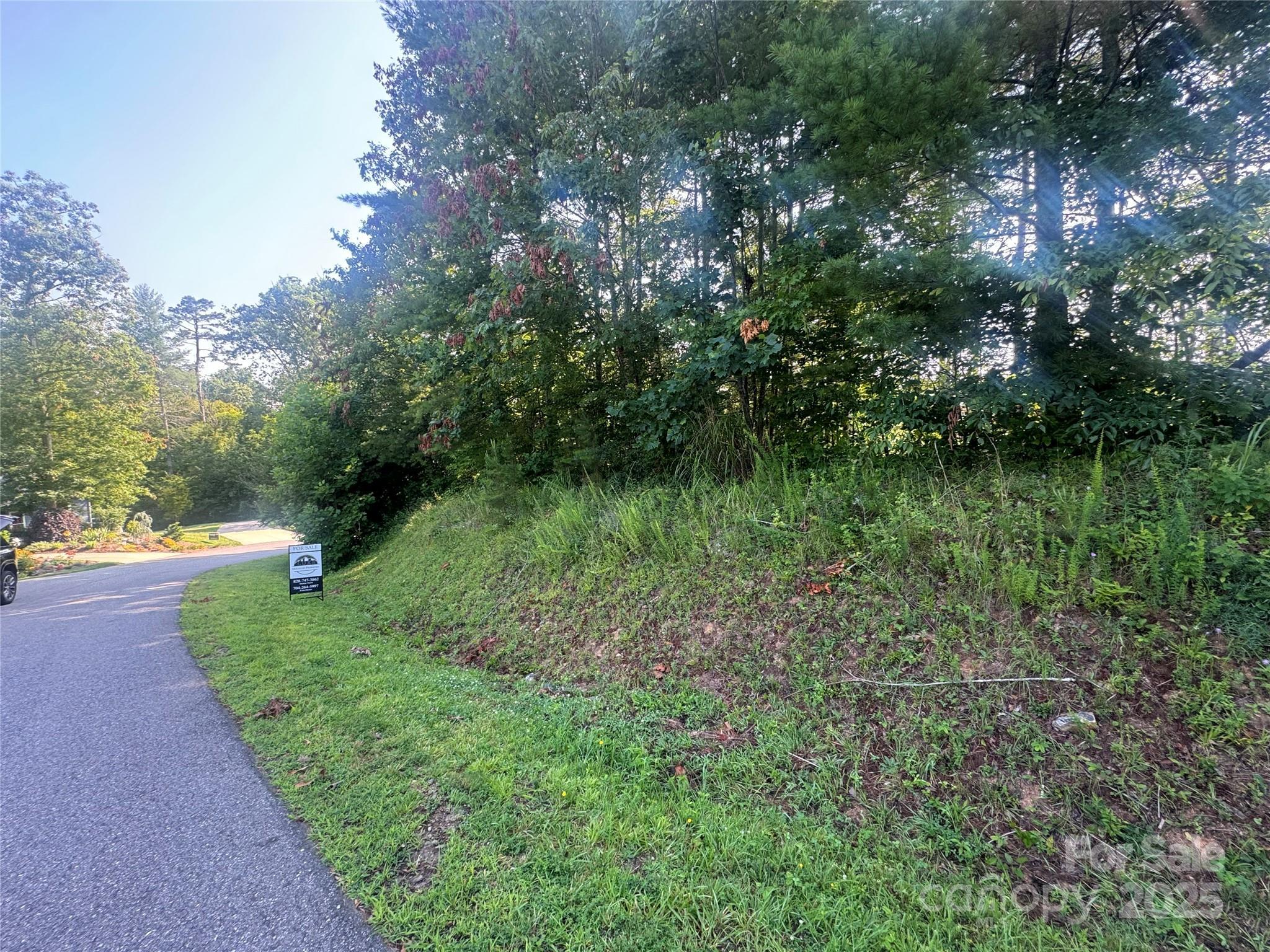 Property Photo: 35 Nader Avenue NC 28787