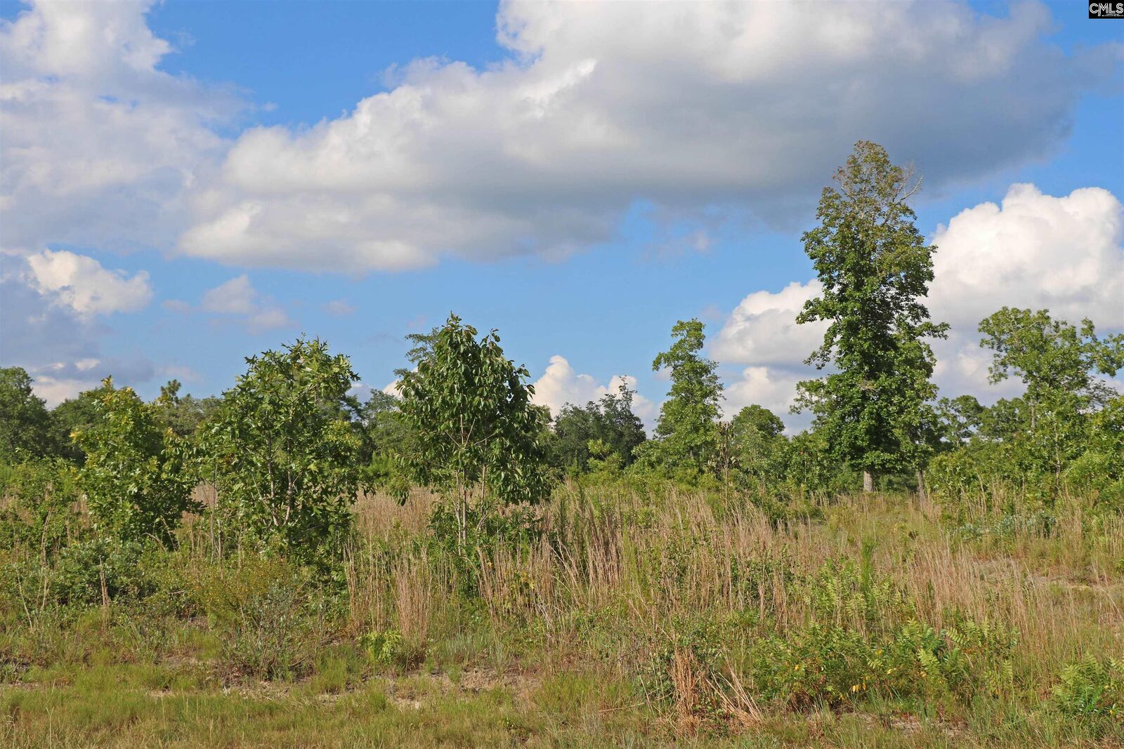 Property Photo: Tbd Seivern SC 29164-9503