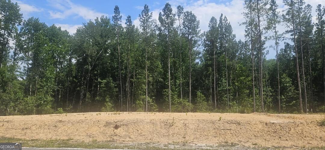 Property Photo: Lot #1 County Line Road GA 30820