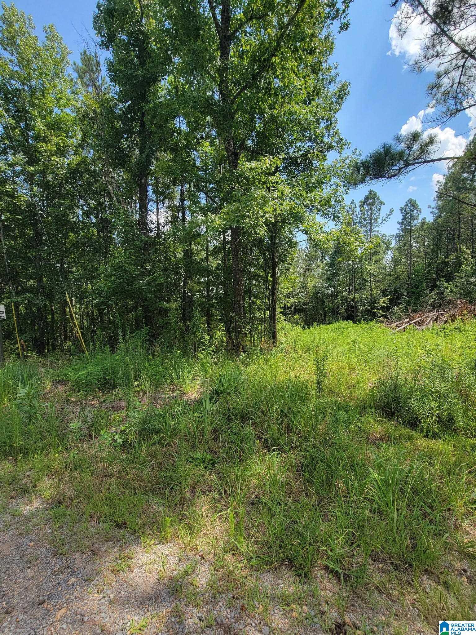 Property Photo: 499 Sweet Apple Road None AL 35128