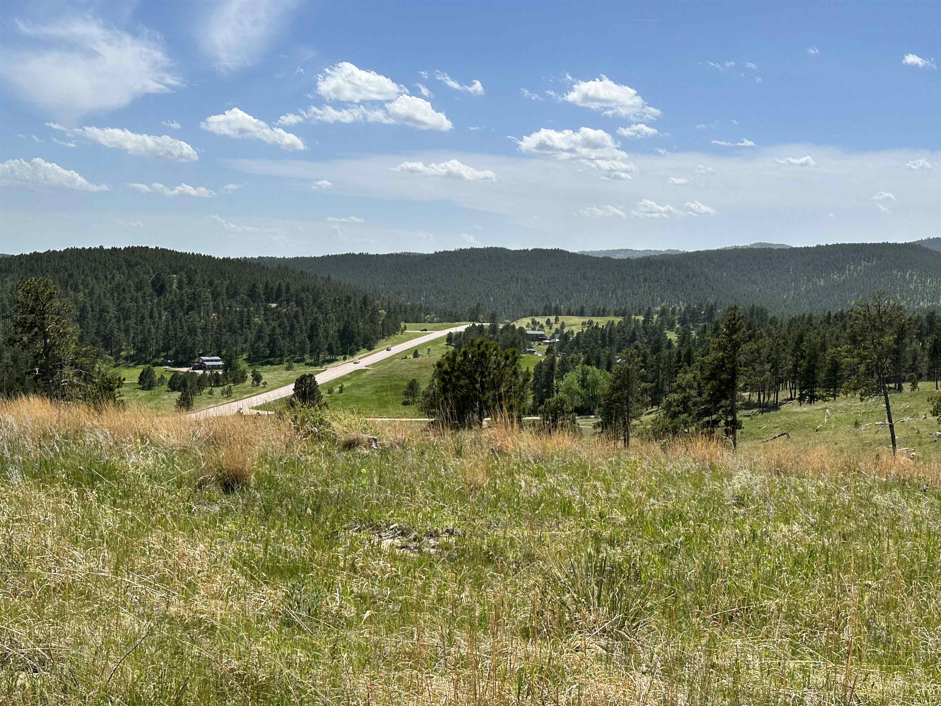 Lot 3D Hwy 40  Keystone SD 57751 photo