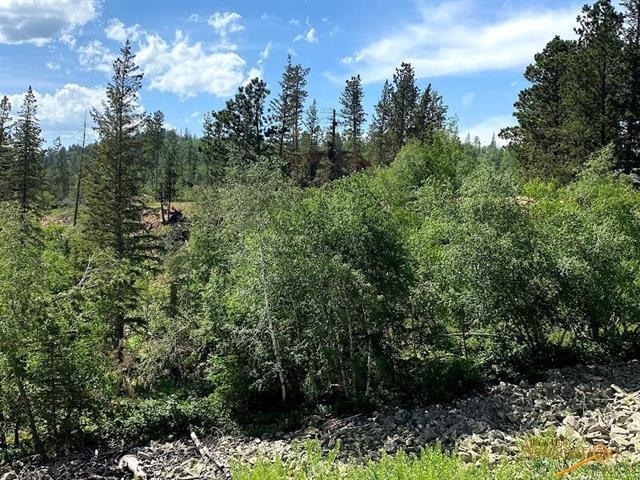 Property Photo: Lot 25 Blue Sky Loop SD 57754