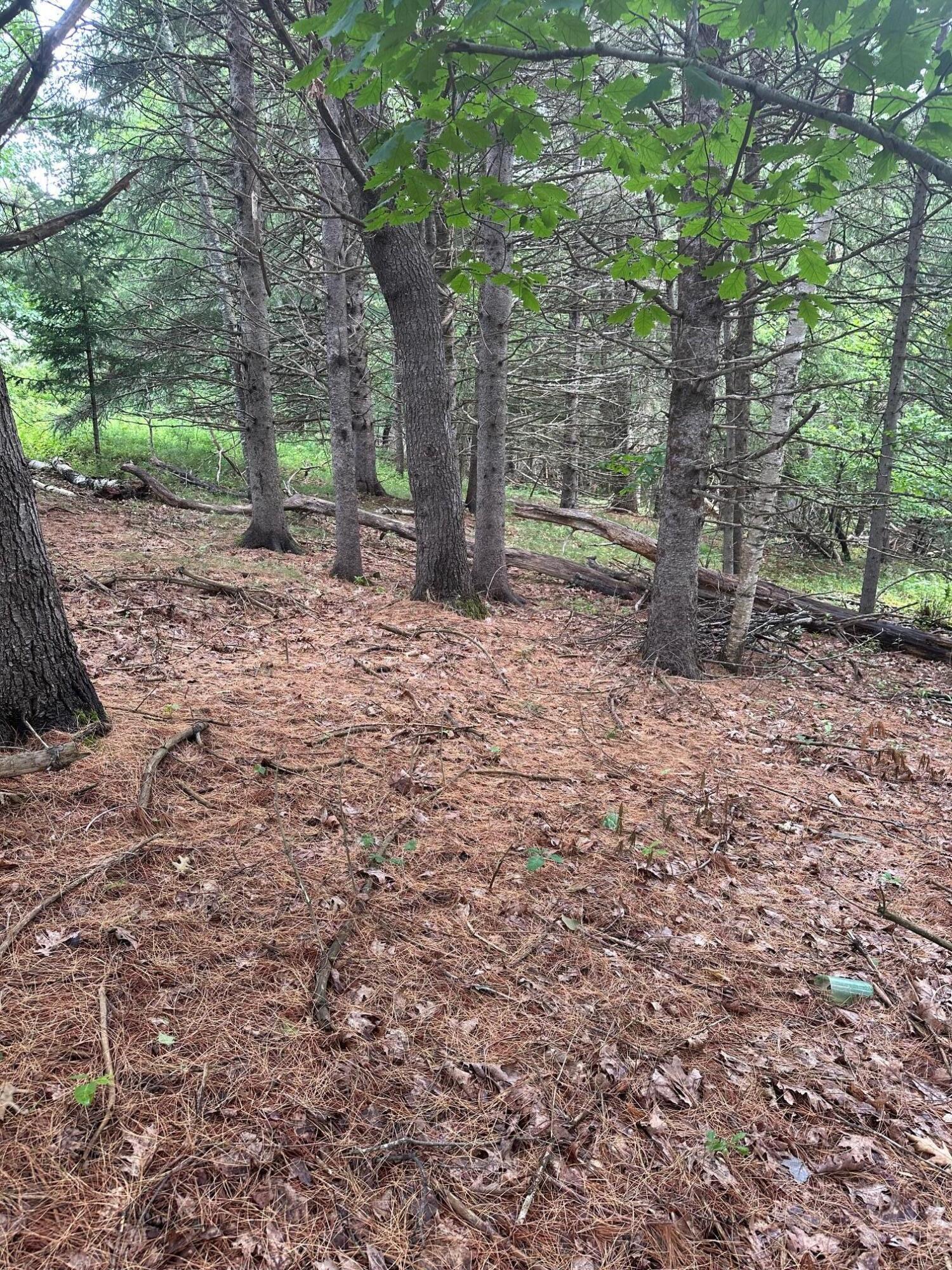 Property Photo: Lot 5 Soper Road ME 04413