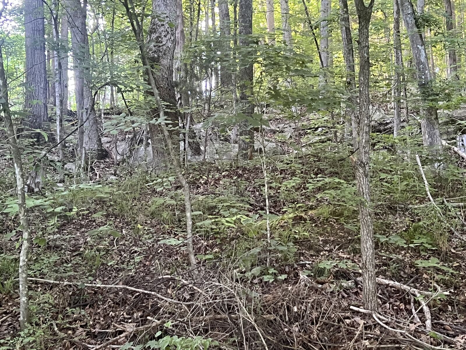 Property Photo: 3507 Shadowbend Ln TN 37043