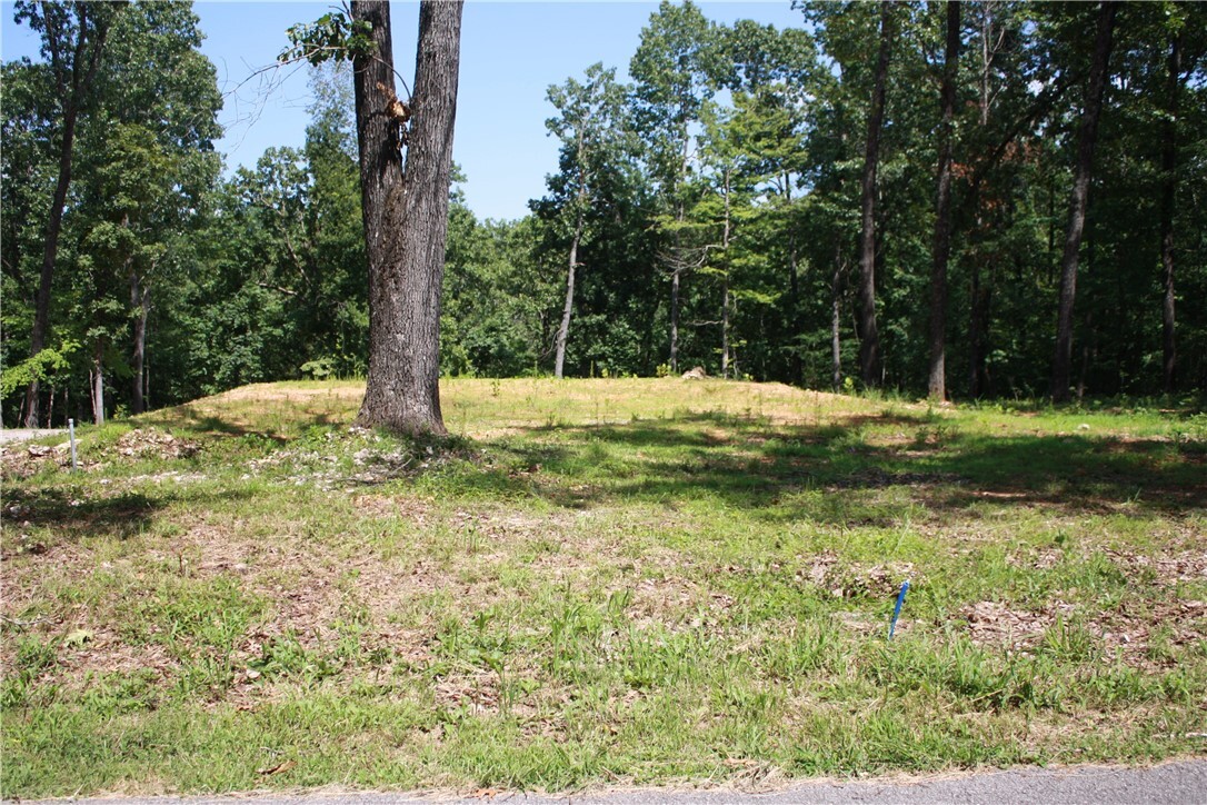 Property Photo:  263 S South Street  AR 72651 