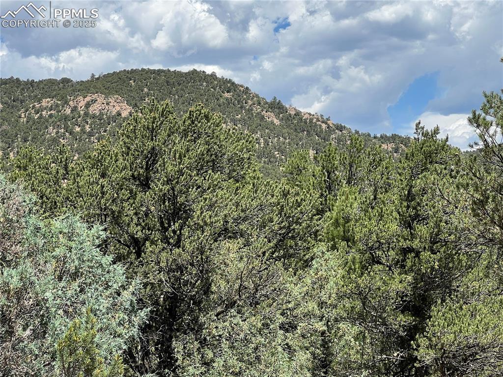 Property Photo: 216 West View Road CO 81223